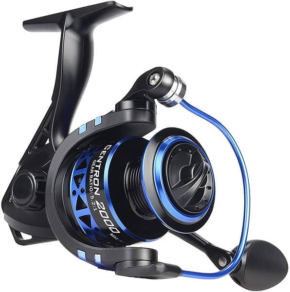 Kastking Summer and Centron Spinning Reel