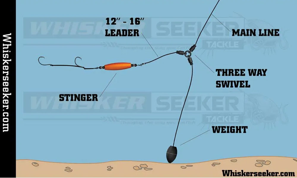 Catfish Rig Setup  Know Your Components