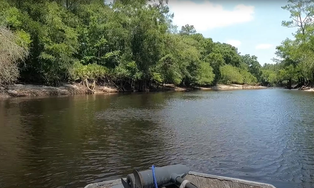 Savannah River Bream Fishing